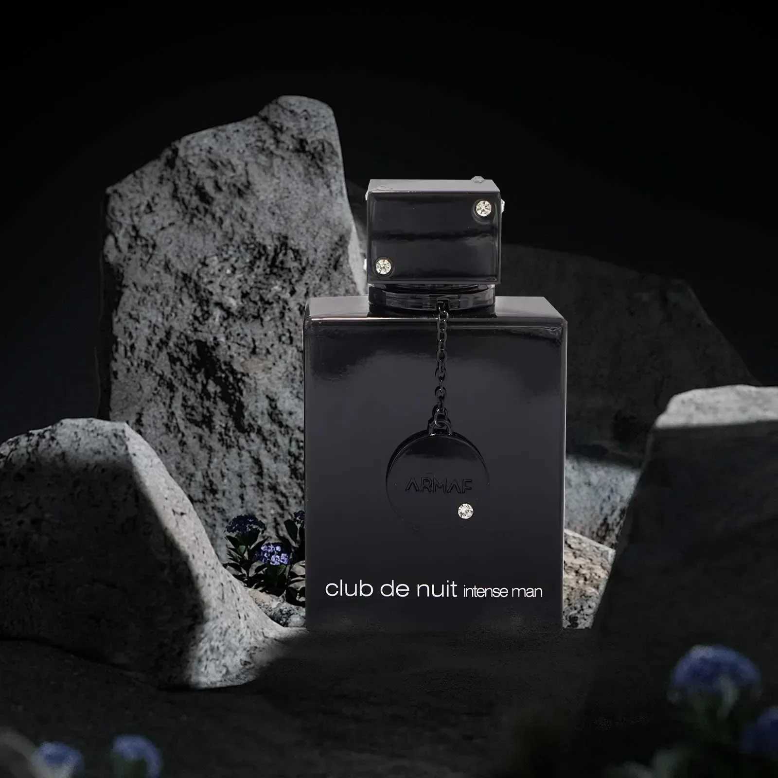 Wild Black Edition for Men - Luxury Brand Perfume Men 100ml Cologne Fragrance Spray perfumes for men Origin W250714