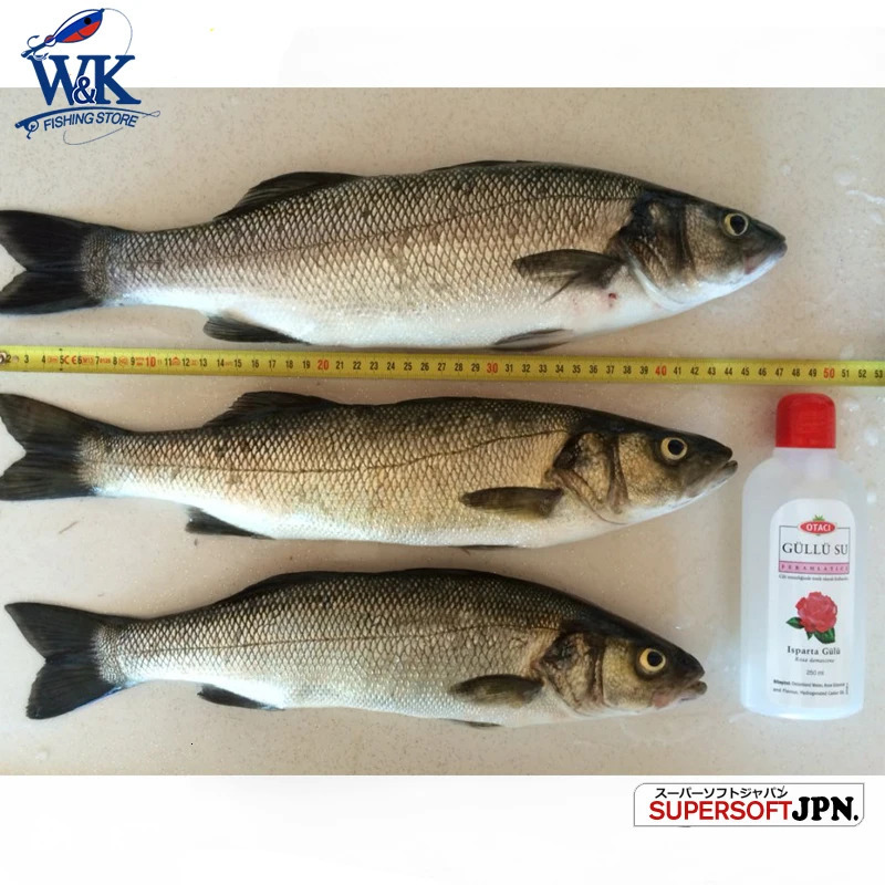 Seabass Fishing Lure Kit at 6cm 75cm 9cm 115cm 145cm Soft Paddle Tail with kinds Jig Head Inshore Jigging Bait 250708