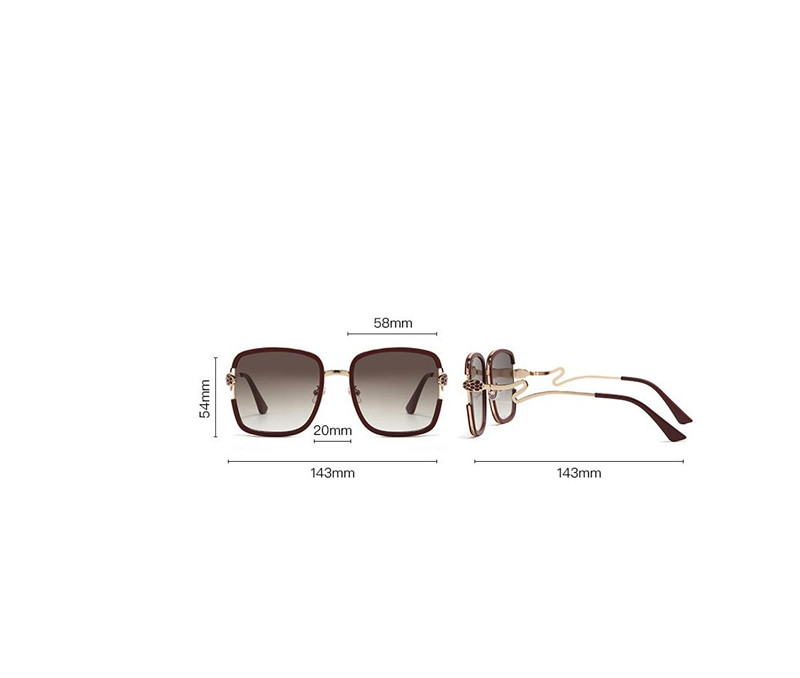 Designer Sunglasses For Women Men Big Frame Sunglasses Luxury Polarized Lens Goggle Pilot PC Frame Oversized UV400 Eyewear Luxury Style Sunglasses DU0