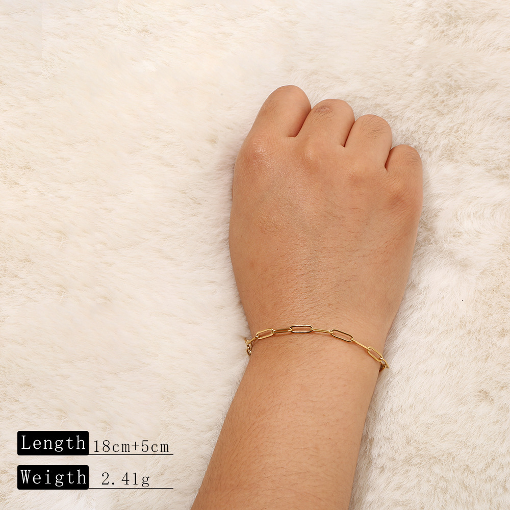 Luxury Jewelry Designer Jewelry Multiple Styles Gold-plated Bracelets Snake Bone Chain Chain Bead Chain And Other Stainless Steel Material Handmade DI