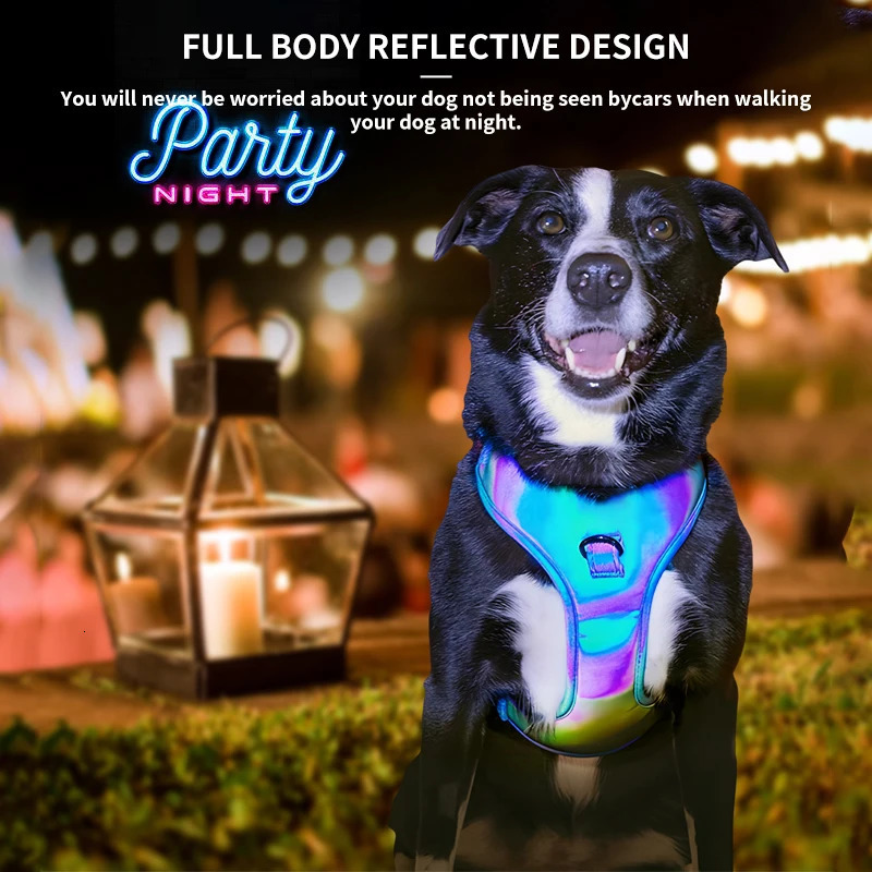 OKKPETS Dog Harness And Leash Set Fabric Reflective For Wedding And Party Dresses Slightly Waterproof 250709
