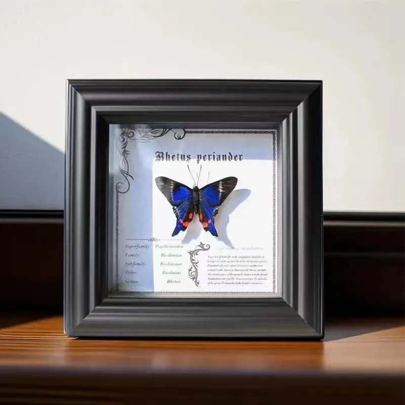 Butterfly Specimen Shadow Box Handmade 2cm Hollow Insect Display Case for DIY Decoration Picture Frame Home Decor H260306