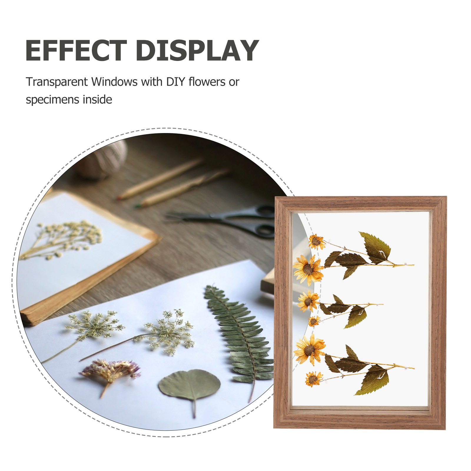 Double Sided Glass Photo Frame 7 Inch Dried Flower Specimen Stand Pressed Frames Picture Display HomeDecoration H260306
