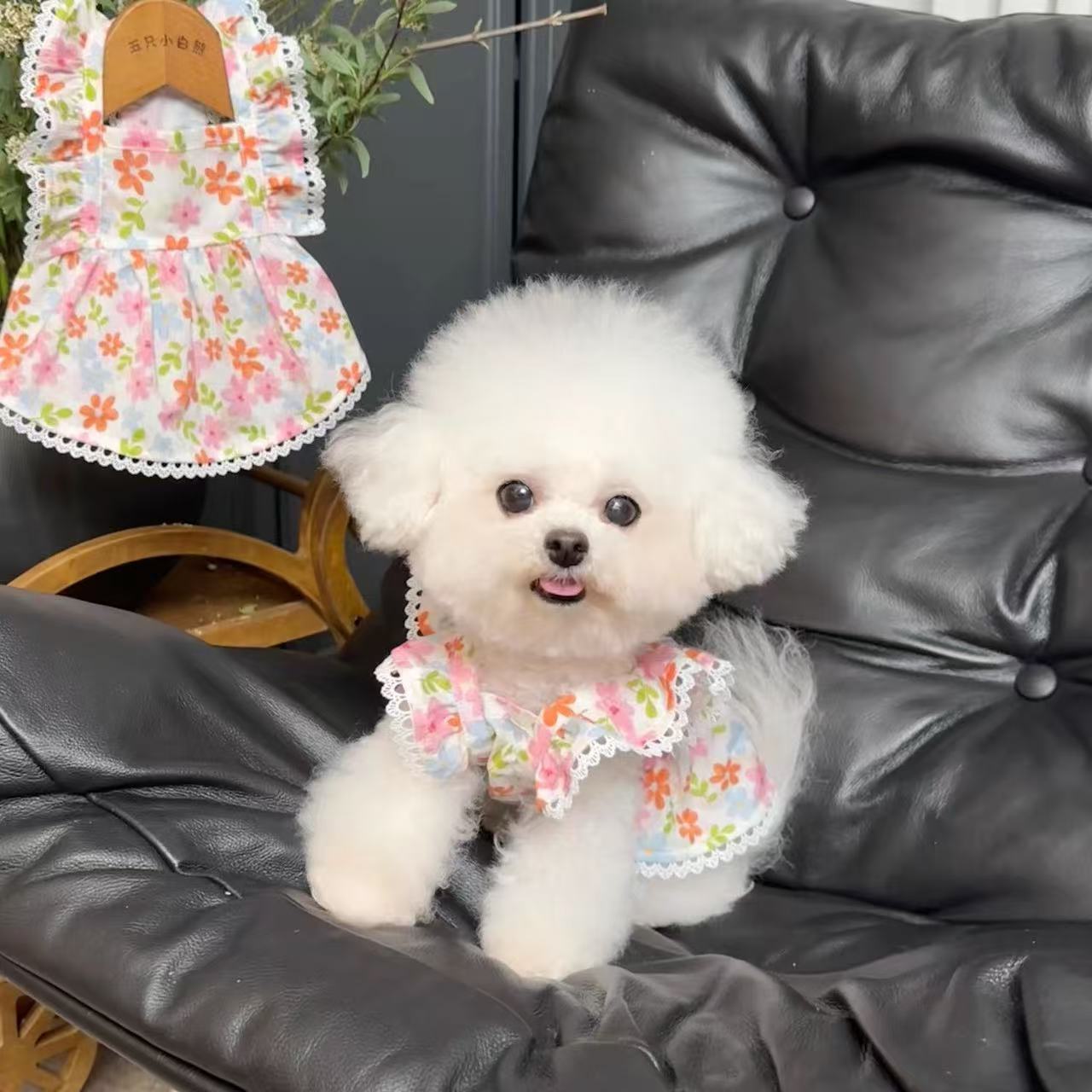 T704 Summer cool embroidered floral suspenders Dog bow vest small dog Maltese clothes