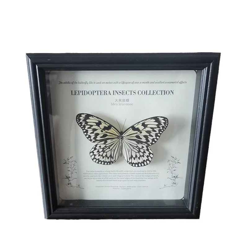 Butterfly Specimen Shadow Box Handmade 2cm Hollow Insect Display Case for DIY Decoration Picture Frame Home Decor H260306