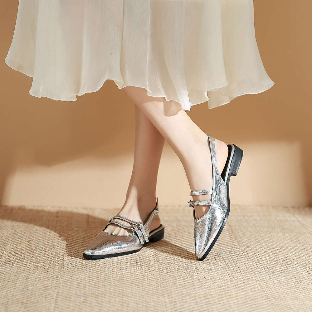 978-2 French Style Pointed Toe Spring New Double Buckle Low Heel Single Daily Commuter Women's Shoes
