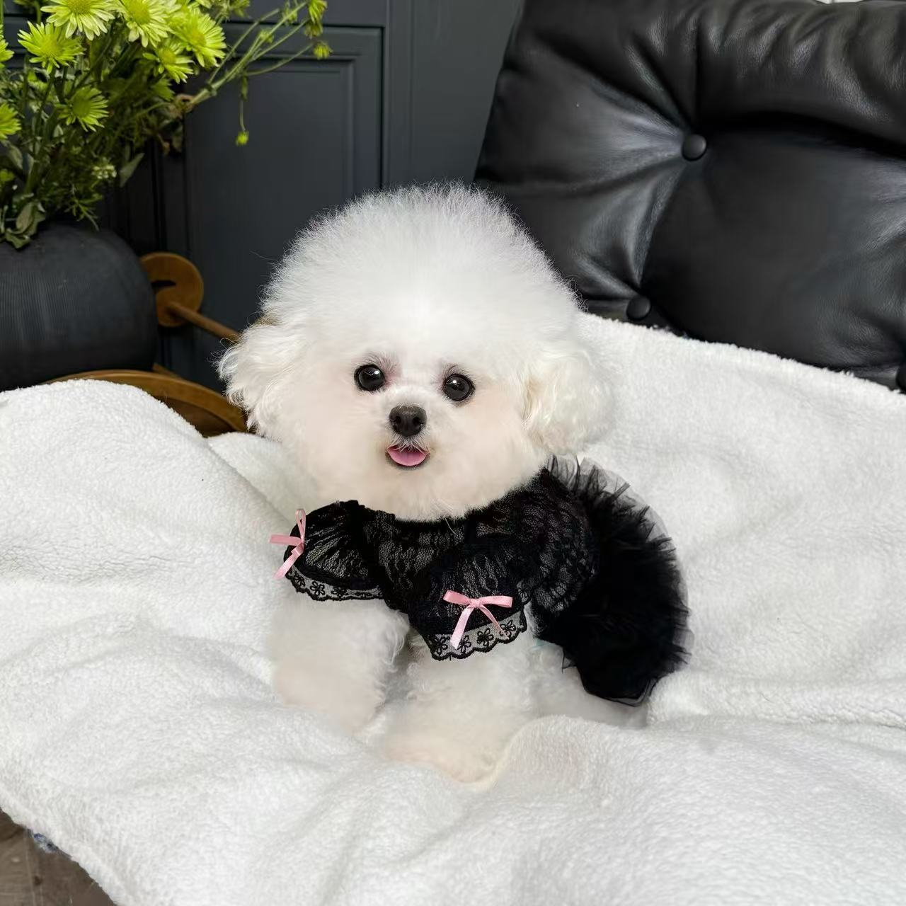 T696 Pet clothes autumn and winter new plush cardigan vest for dogs and cats with traction buckle plush coat
