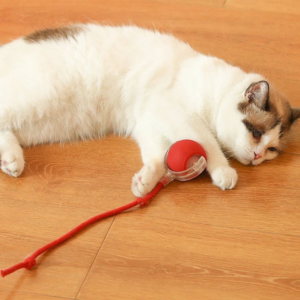 2PC/1PC Cat Interactive Ball Toys Automatic Rolling Ball Rechargeable Self Rotating Ball Fast Rolling Ball for Indoor Cat Kitten 250708