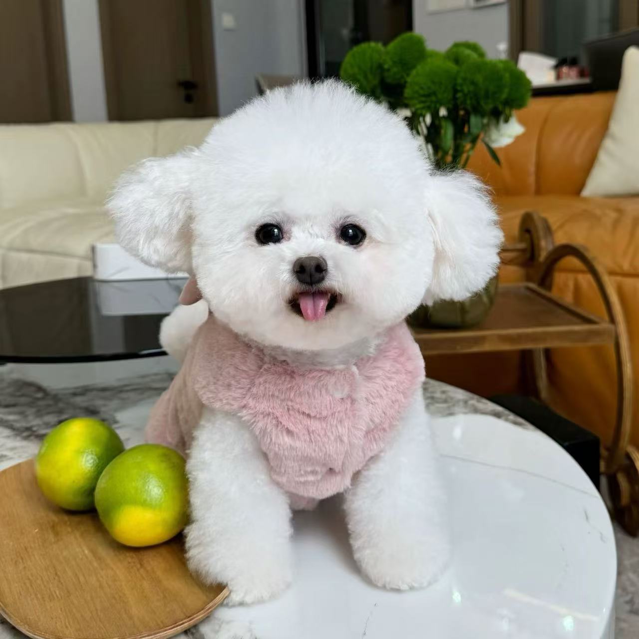 T696 Pet clothes autumn and winter new plush cardigan vest for dogs and cats with traction buckle plush coat