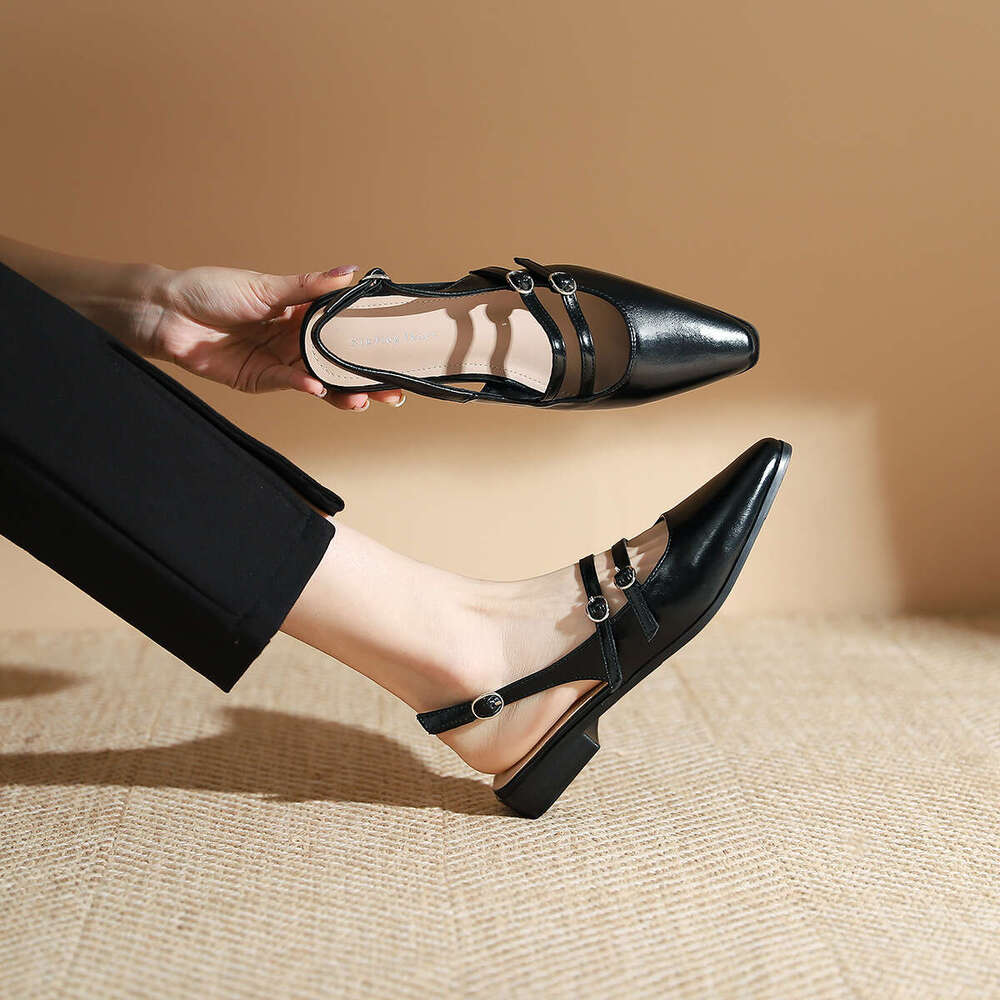 978-2 French Style Pointed Toe Spring New Double Buckle Low Heel Single Daily Commuter Women's Shoes