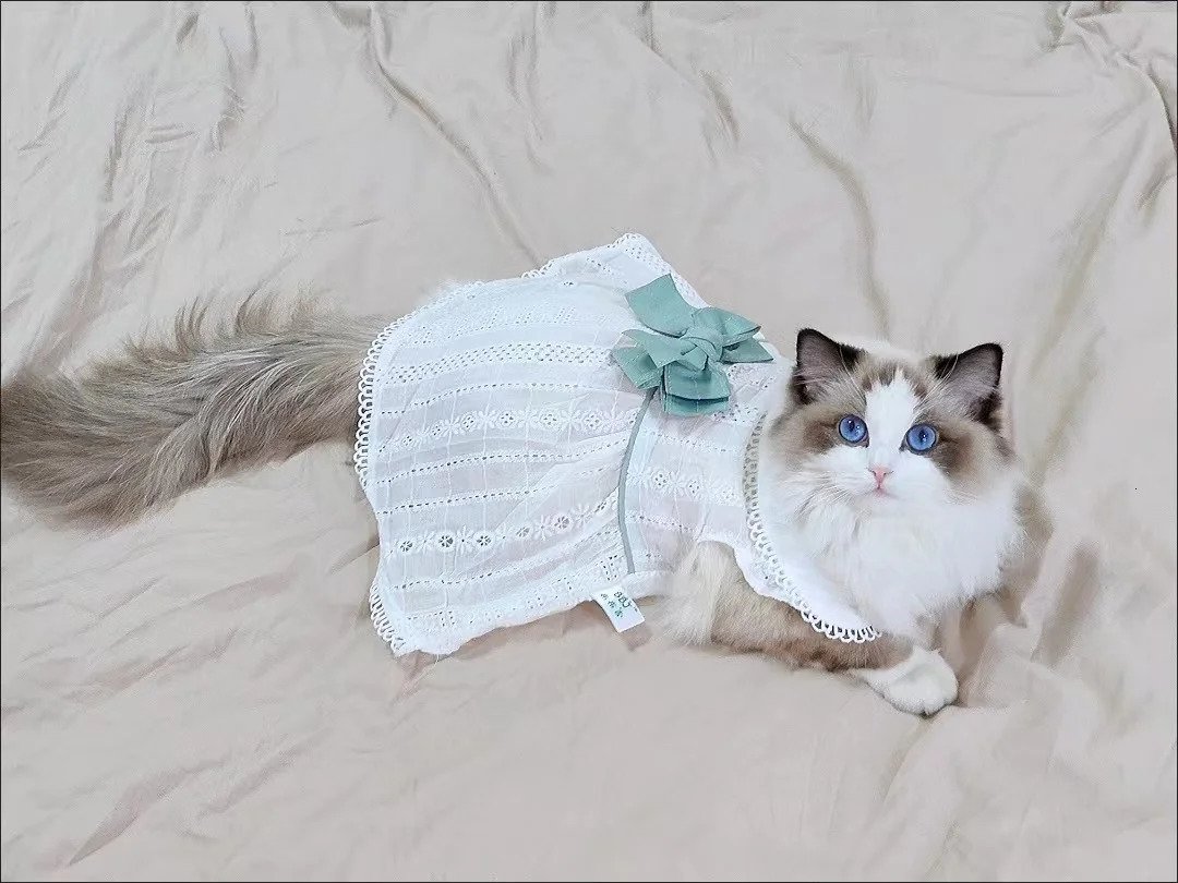 Dog Clothes Spring and Summer Thin Skirt Lolita Princess Mint Butterfly Cat Pet 250708