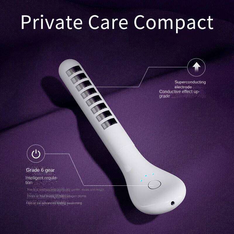 Home Use Female Private EMS Physiotherapy Tightening Device For Repair Of Peic Floor Muscles Physical Training Instrument