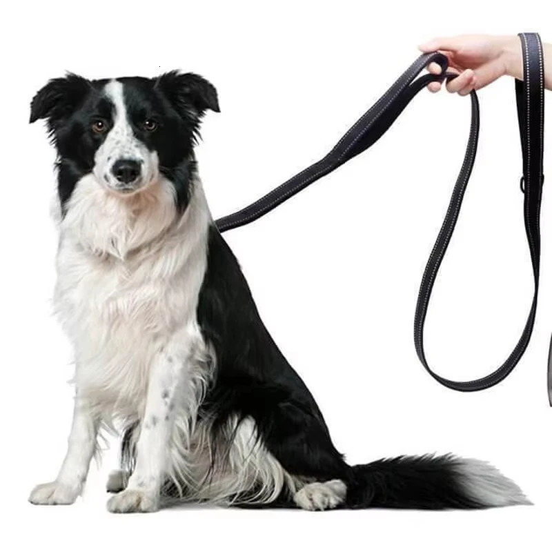 180cm Double Handle Dog Leash Double-Sided Reflective Night Safety Suitable for Medium to Large Dogs 250709