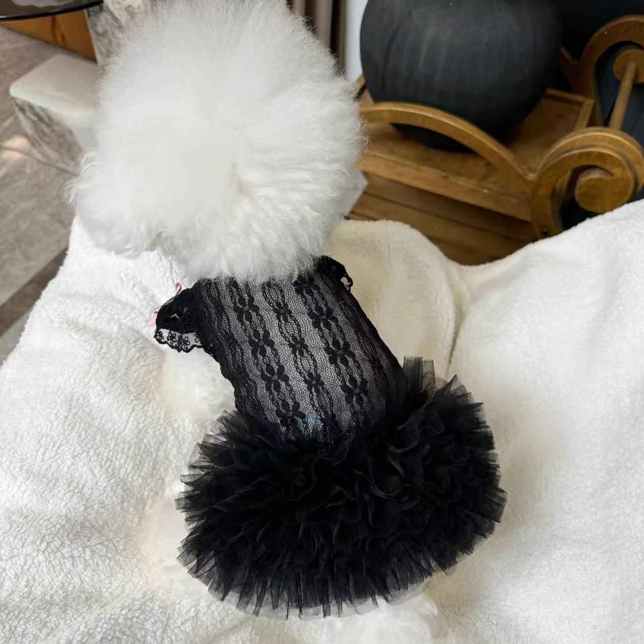 T697 Pet clothes spring and summer new black swan tutu skirt dog cat lace wedding dress