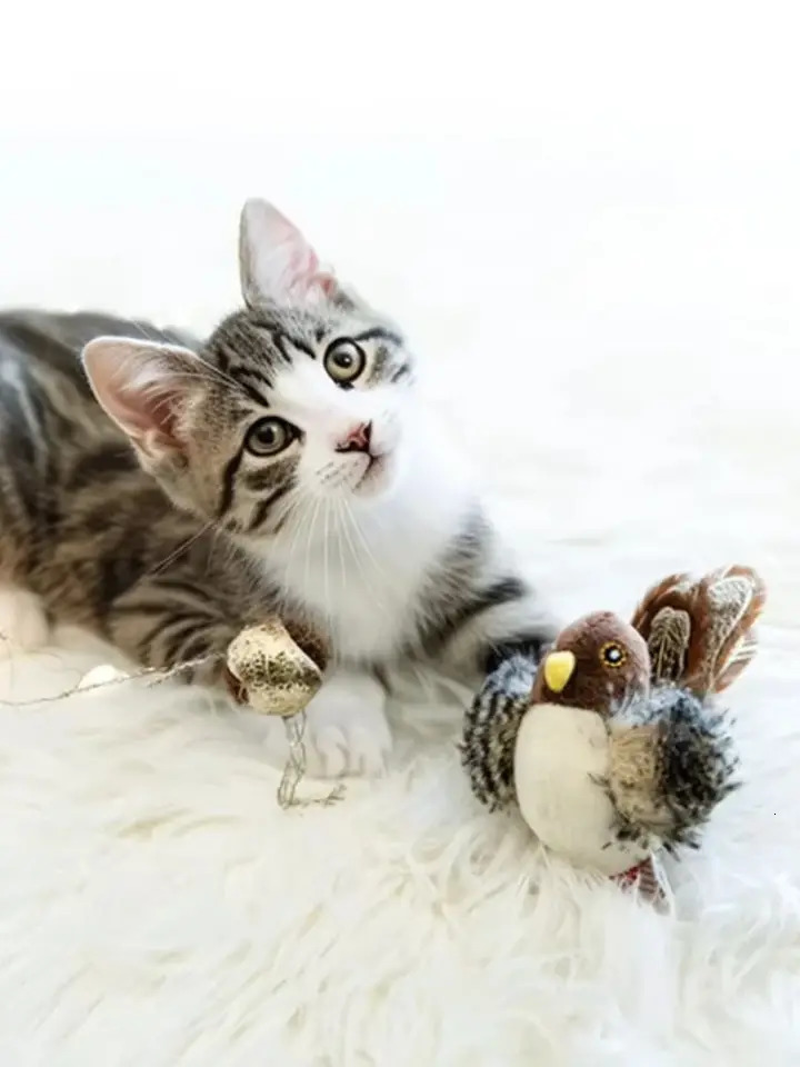 Interactive Cat Toys Electric Squeaky Simulation Bird Plush Cats Pets Teasing Toys with Feather Catnip Kitten Chirping Bird 250708