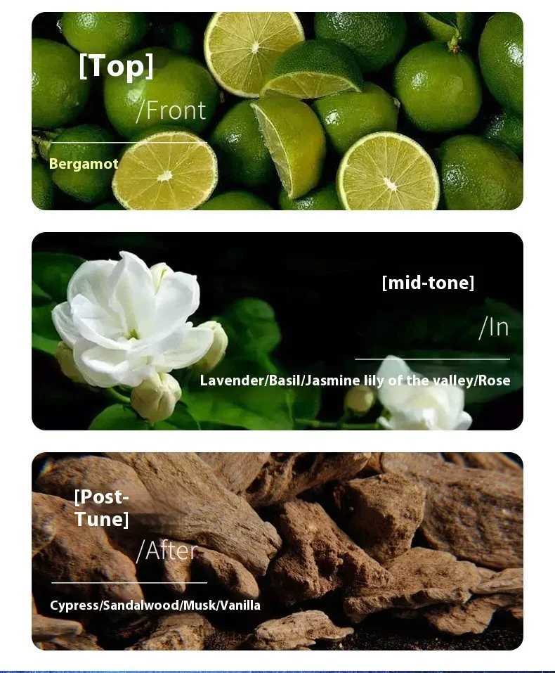 Brand Perfume Woody Men Perfume Spray Flirting Pheromone Long Lasting Sandalwood Ocean Light Fragrance Vibrant Gentleman Gift W250712