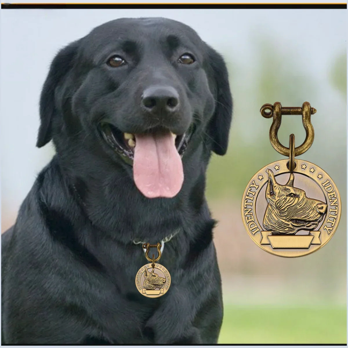 VIP Customizable Engraved Pets ID Tag for Dog Cat Bronze Nameplate Tags Personalized Address Number Dogs Collar ID Pendant 250709