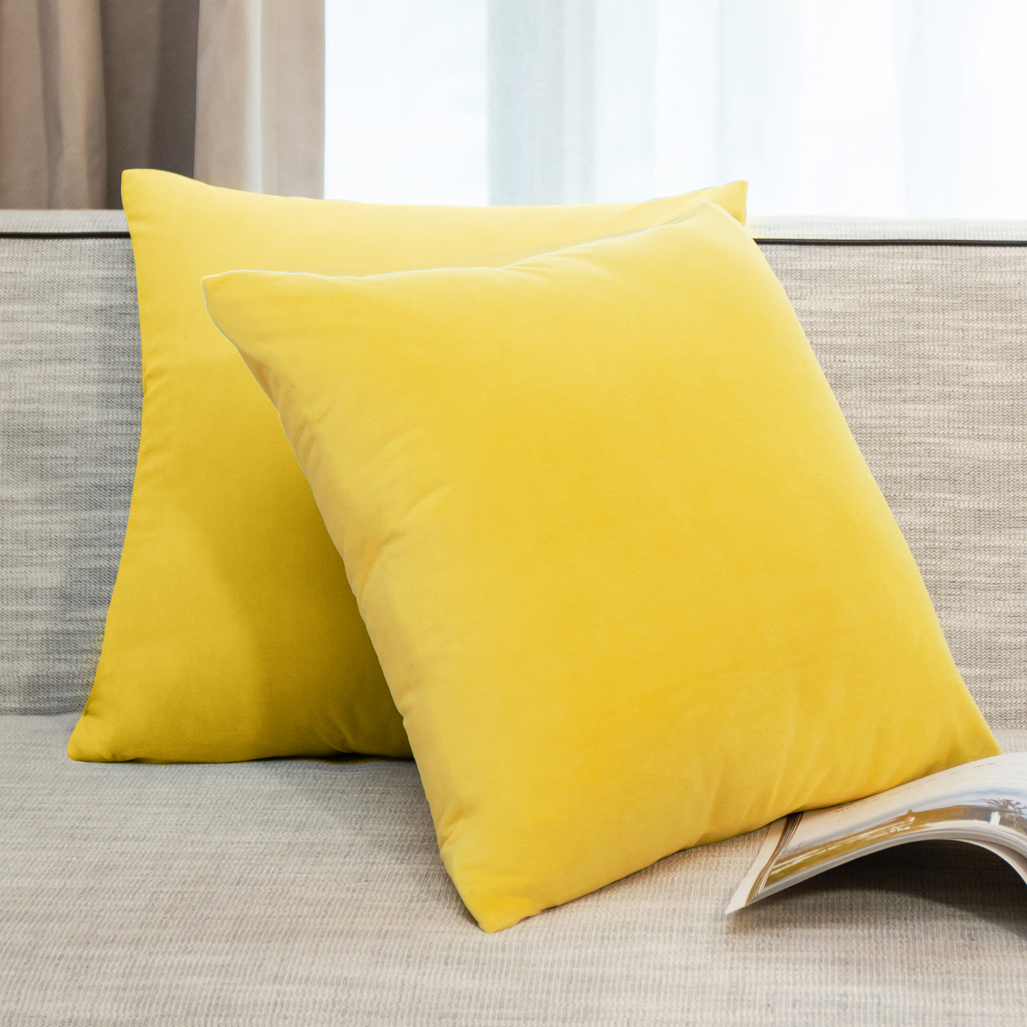 US Stock 2 Pieces Super Soft Velvet Solid Throw Pillow Covers Sets Hidden Zipper Graden Cushion Case Sofa Bedroom Car Decorative Pillow HK0012