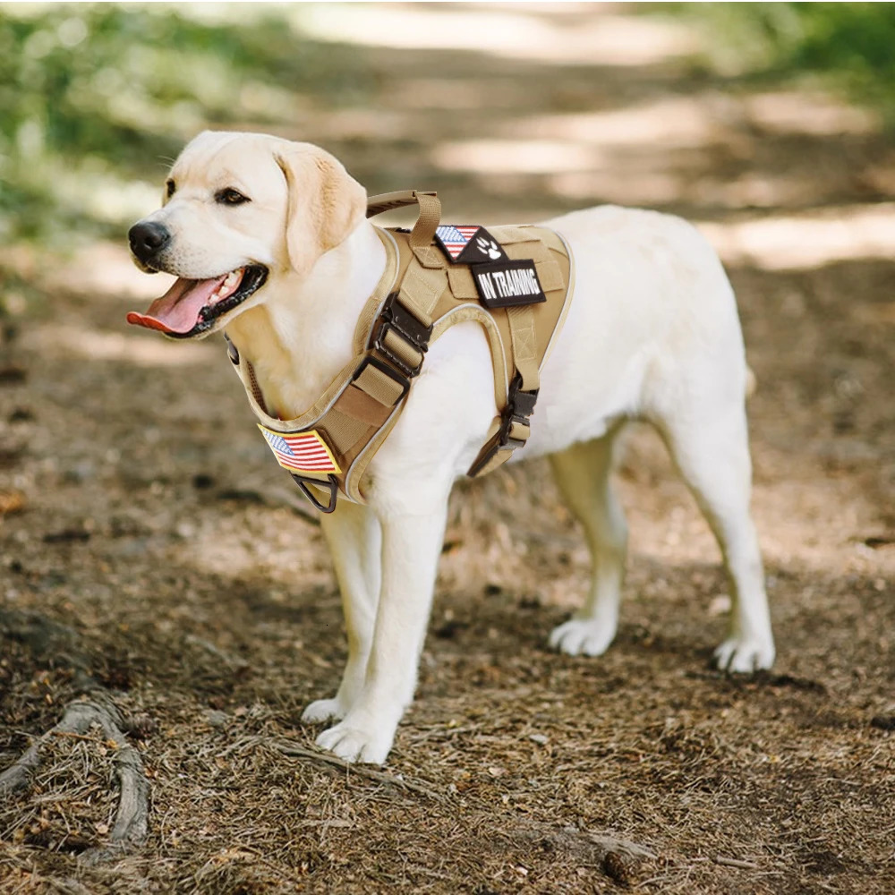 Reflective Dog Harness with 4 Metal Buckles Military Tactical Pet Training Vest Harnesses Leash Collar Large Dogs Accessories 250716