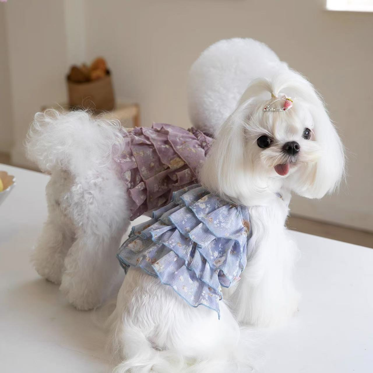 Owen Summer cool pet chiffon cake floral suspender skirt short puppy princess dress dress Bichon Teddy Cat