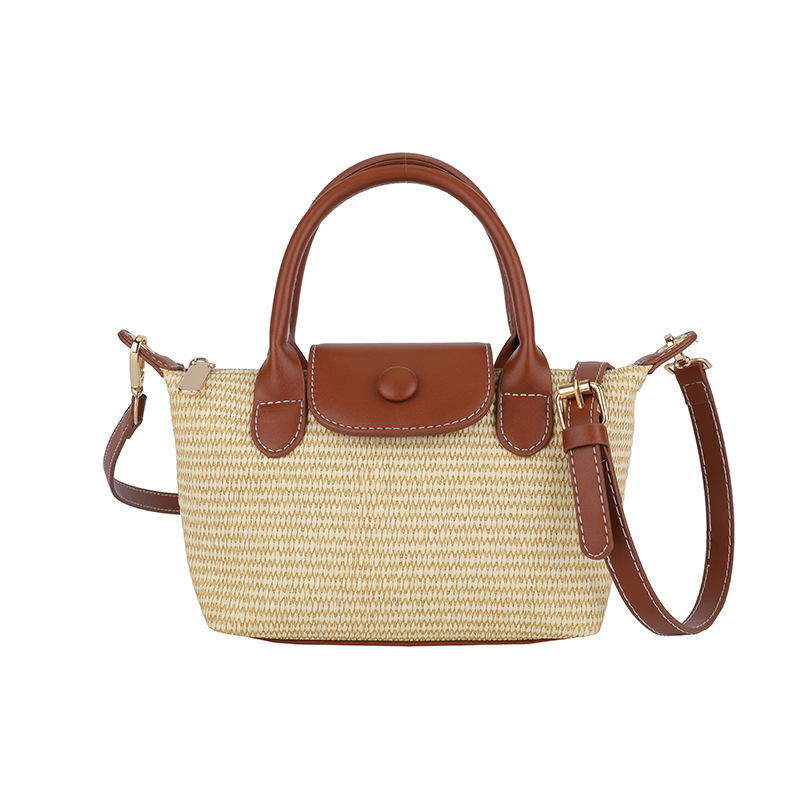 Luxury Brand Designer Bag Summer Rainbow Straw Handbag For Women 2025 New Casual Woven Versatile Beach Shoulder Crossbody Dumpling Bag