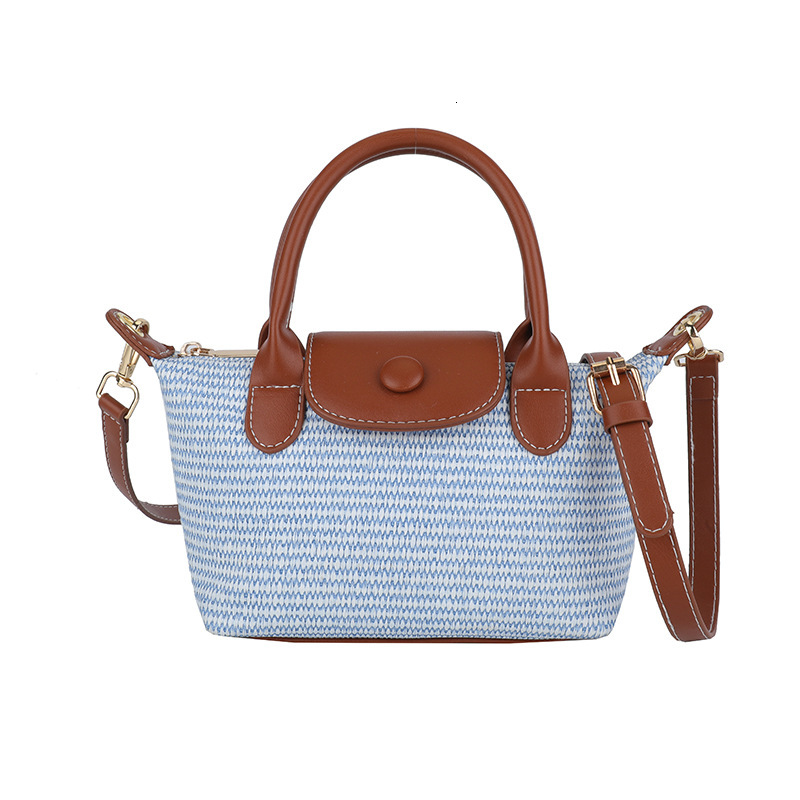 Luxury Brand Designer Bag Summer Rainbow Straw Handbag For Women 2025 New Casual Woven Versatile Beach Shoulder Crossbody Dumpling Bag