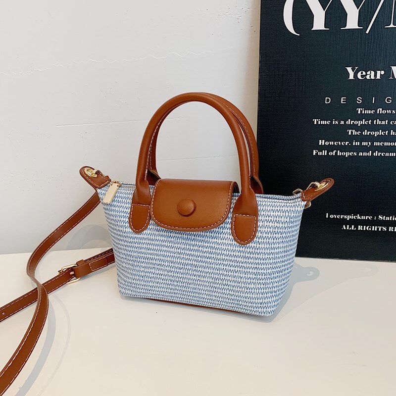 Luxury Brand Designer Bag Summer Rainbow Straw Handbag For Women 2025 New Casual Woven Versatile Beach Shoulder Crossbody Dumpling Bag