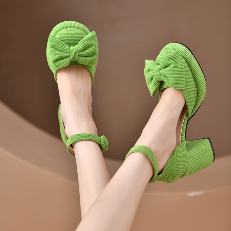 Designer sandals Chunky Heel High Heels Fashion Stunning Hollow Single Shoes Women 2025 Spring New Small Petite French Mary Jane Sandals