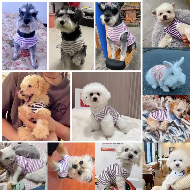 Pet Dog Striped Sweatshirt Clothes for Small Dogs Puppy Summer Soft Cat Vest Bichon Chihuahua Costumes 250711
