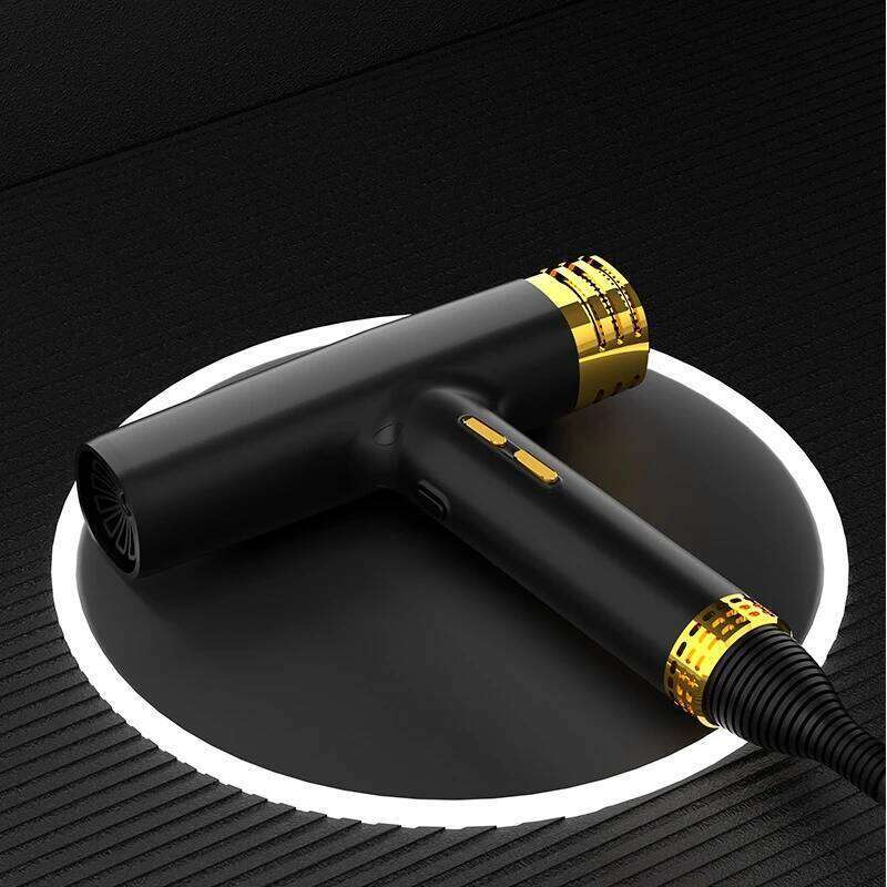 Brushless Household Negative Ion Non Damaging Convenient High-Speed Hair Dryer