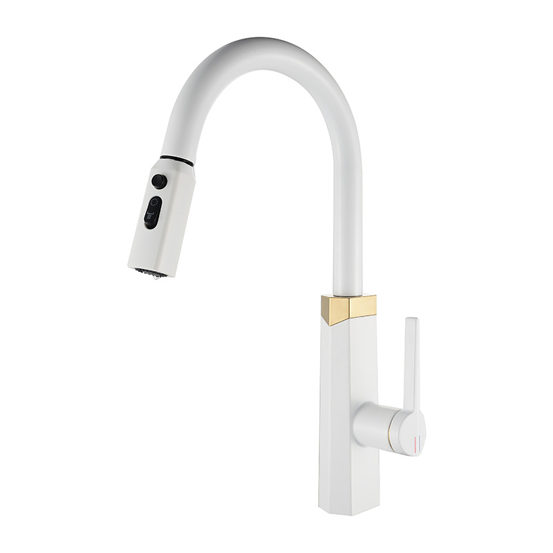 Pull-Out Kitchen Faucet with Hot & Cold Rotating Spout for Sinks