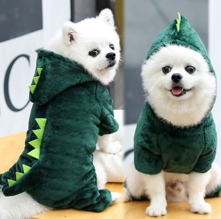 Pet Cute Embroidered Dinosaur Transformation Costume