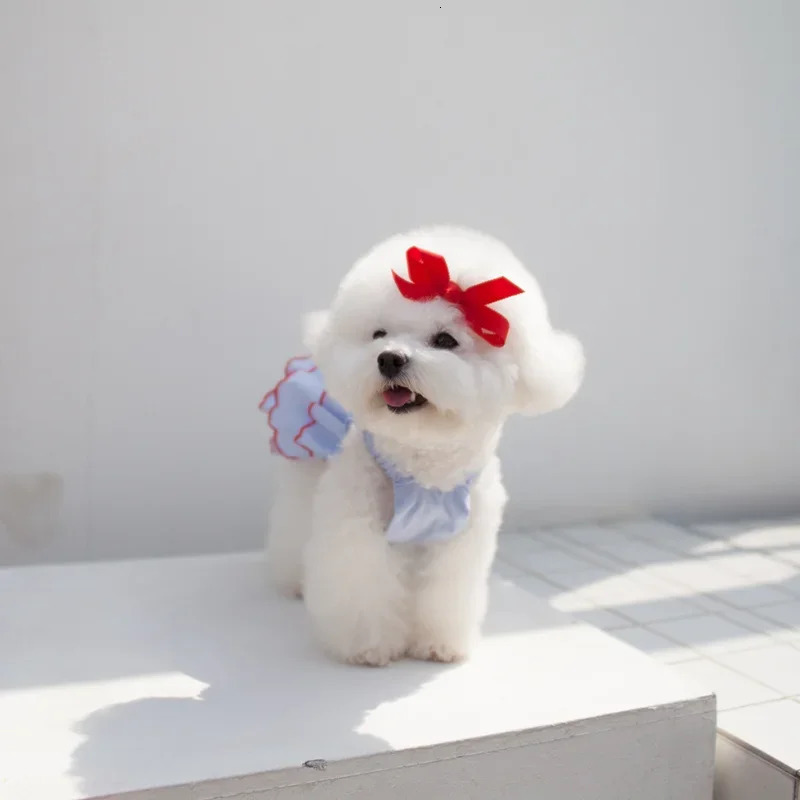 Dog Summer Dress Cat Skirt Pet Clothing Chihuahua Teddy Puppy Princess Apparel Cute Clothes Dress 250711