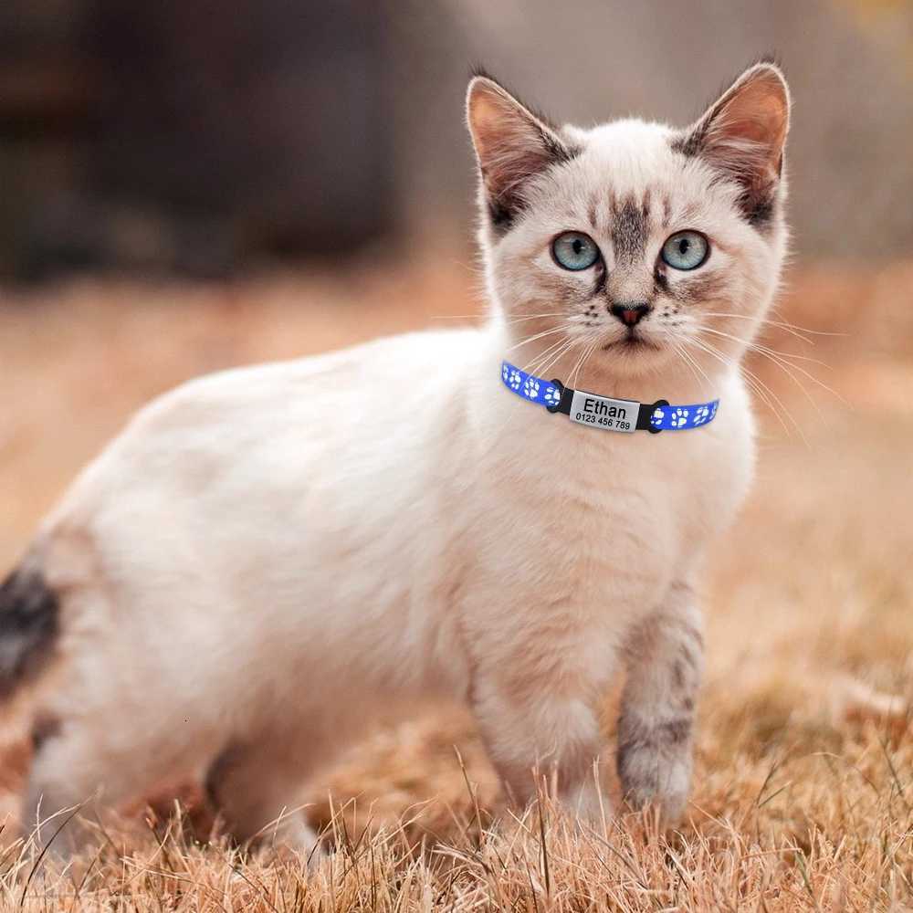 Personalized Cat Collar Adjustable Nylon Pet Products Bell Small Large Kitten Safety Accessories Pa Breakaway Tag Small Necklace LL250716