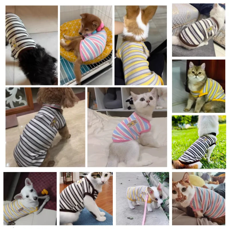 Pet Dog Vest Puppy Clothes Summer Cotton Bear Print TShirt Striped Shirt Girls Costume Chihuahua Korean Style Clothing 250711