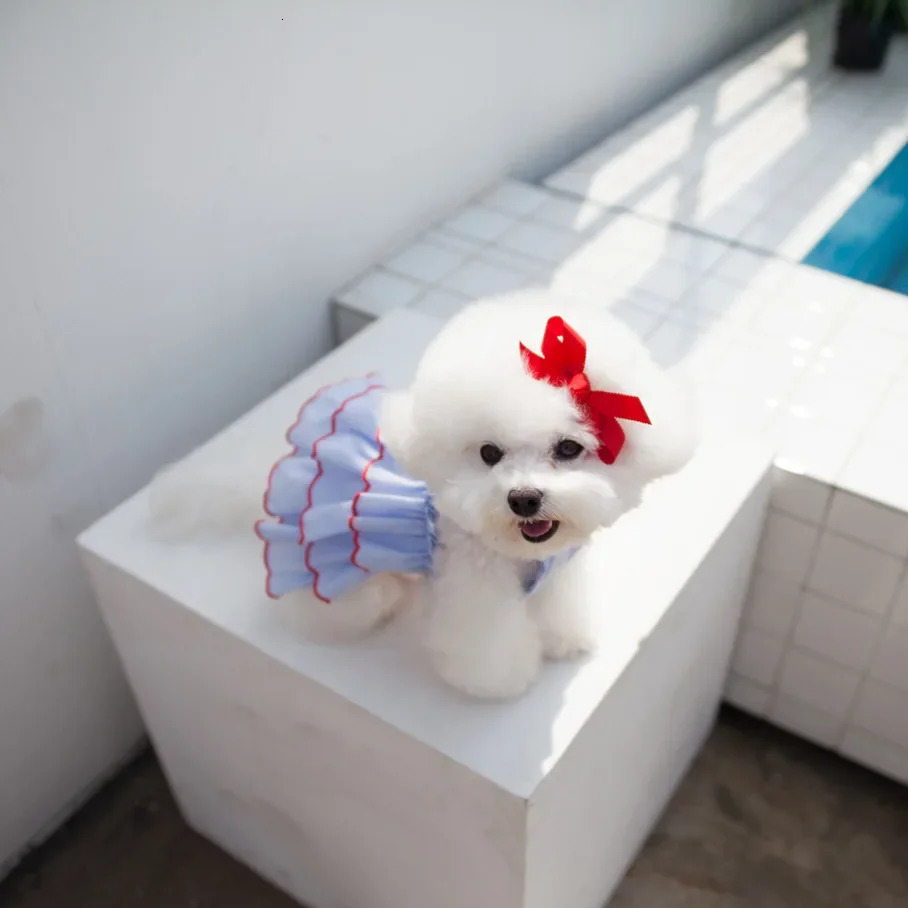 Dog Summer Dress Cat Skirt Pet Clothing Chihuahua Teddy Puppy Princess Apparel Cute Clothes Dress 250711