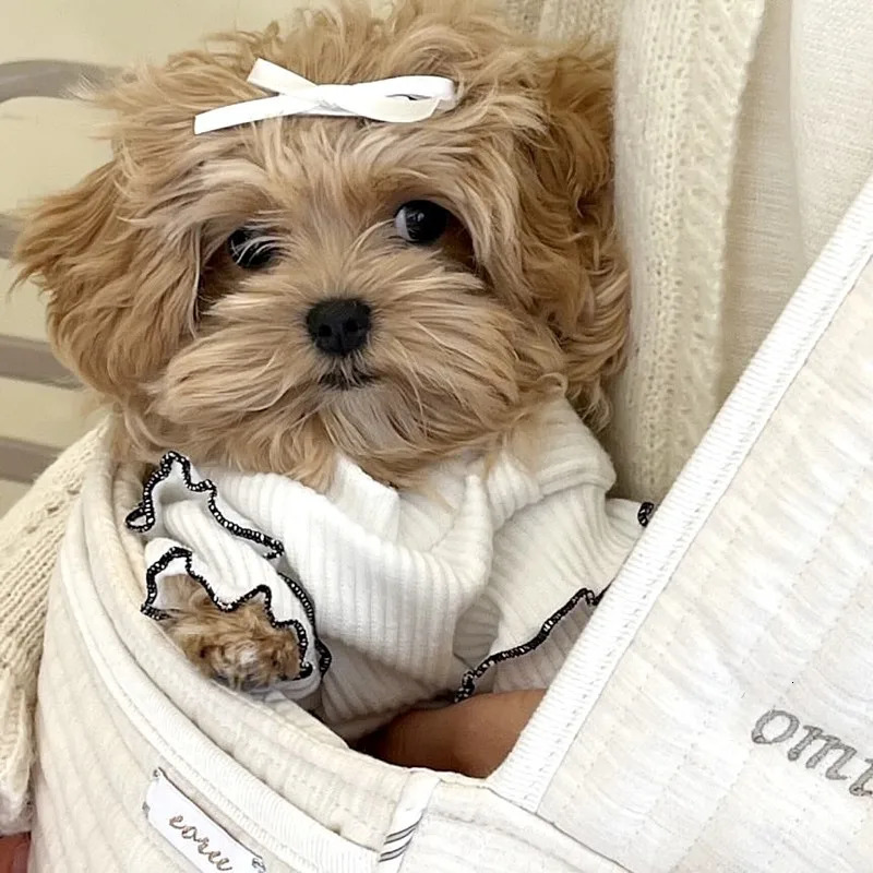 Dog Shirt Vest Pink Puppy Summer Clothes Thin Knitted Undershirt Chihuahua Bichon Girls Costume Flying Sleeves TShirt 250711