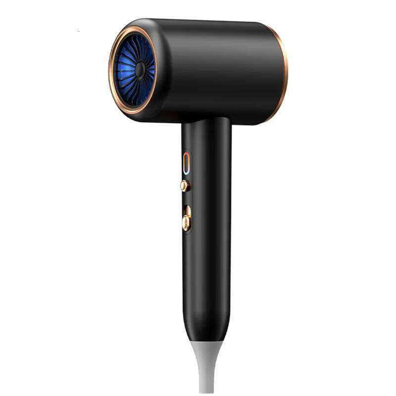 FZFZ 3Th Gear Professional Negative Ionic Blow Hot Cold Wind Air Brush Hair Dryer Salon Tool