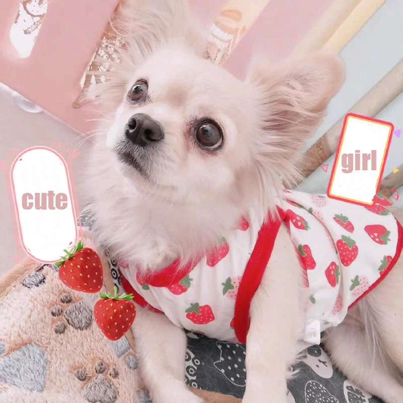Summer Dog Vest Cute Cartoon Print Breathable Thin TShirt for Small Medium Fashion Chihuahua Yorkshire Pet Clothes 250711