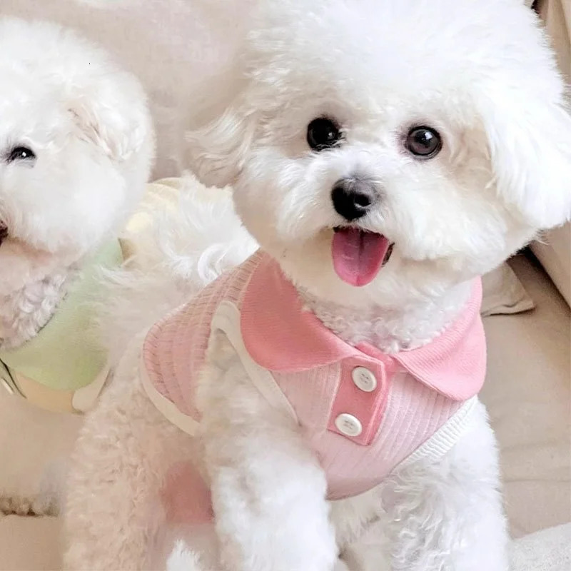 Summer Pet Dog Polo Shirt Breathable Clothes Fashion Puppy Vest Cute Solid Cat Soft Costumes Chihuahua Clothes 250711