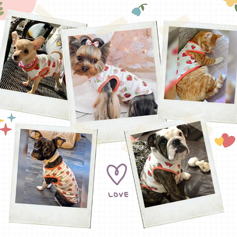 Summer Dog Vest Cute Cartoon Print Breathable Thin TShirt for Small Medium Fashion Chihuahua Yorkshire Pet Clothes 250711