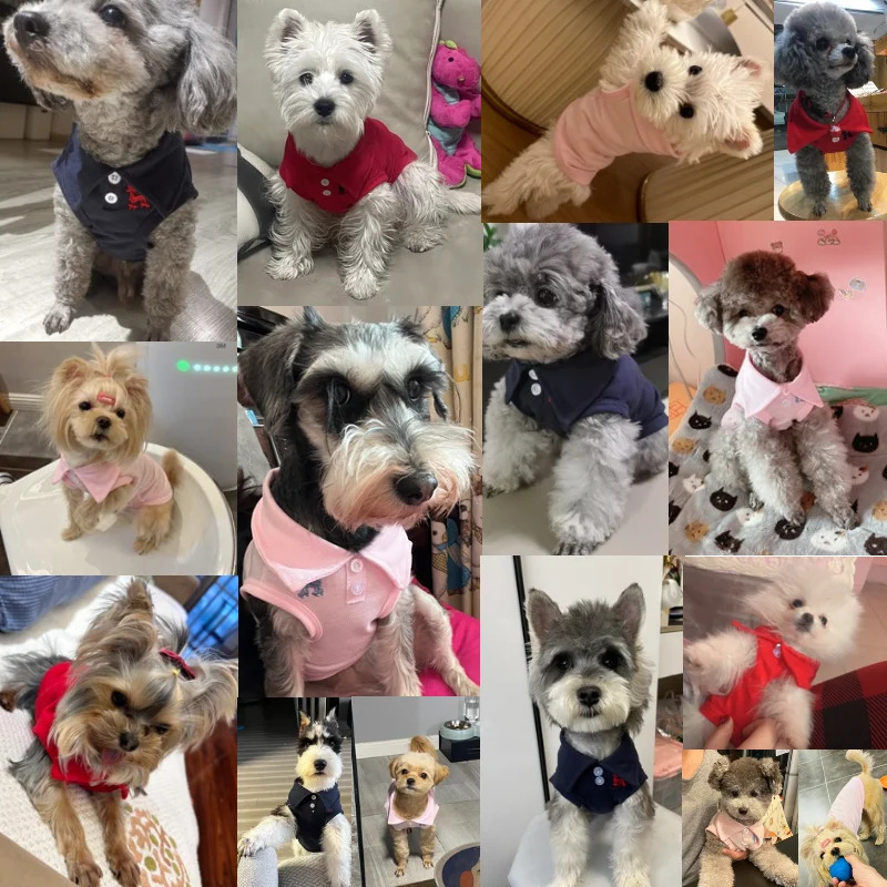 Pet Dog Polo Shirt Cool Clothes Soft Breathable Yorkie Chihuahua Puppy Vest for Small Medium Dogs Costumes 250711