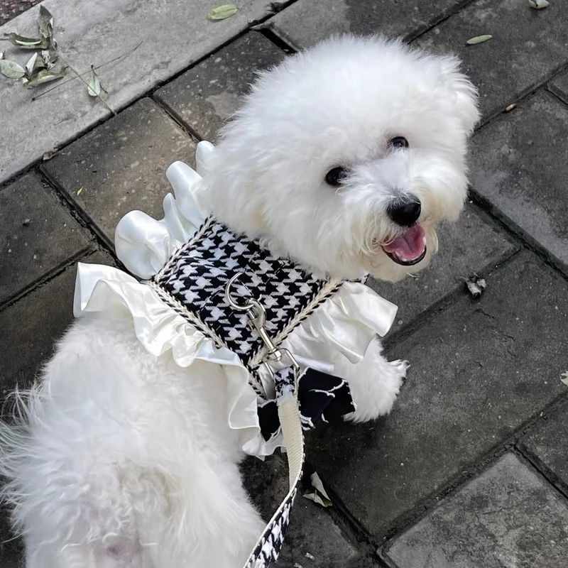 Luxury Princess Dog Harness with Leash Set, No Pull Adjustable Simple Magic Glue Puppy Pet Vest Harnesses Summer Pets Dress for Small Medium Dogs and 