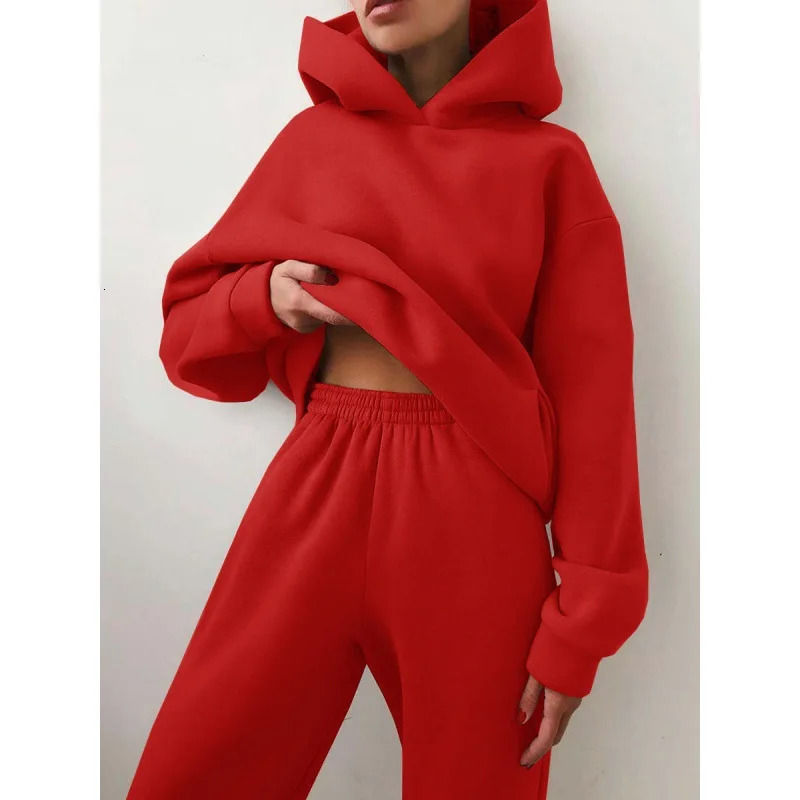 Women Hooded Tracksuit Sports 2 Pieces Set Streetwear Sweatshirts Pullover Pants Suit Home Sweatpants Trousers Outfits 250715
