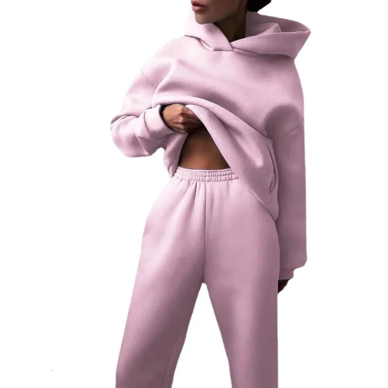 Women Hooded Tracksuit Sports 2 Pieces Set Streetwear Sweatshirts Pullover Pants Suit Home Sweatpants Trousers Outfits 250715