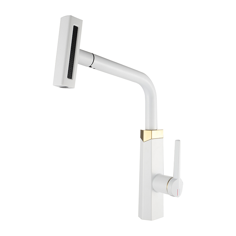 Pull-Out Kitchen Faucet with Hot & Cold Rotating Spout for Sinks