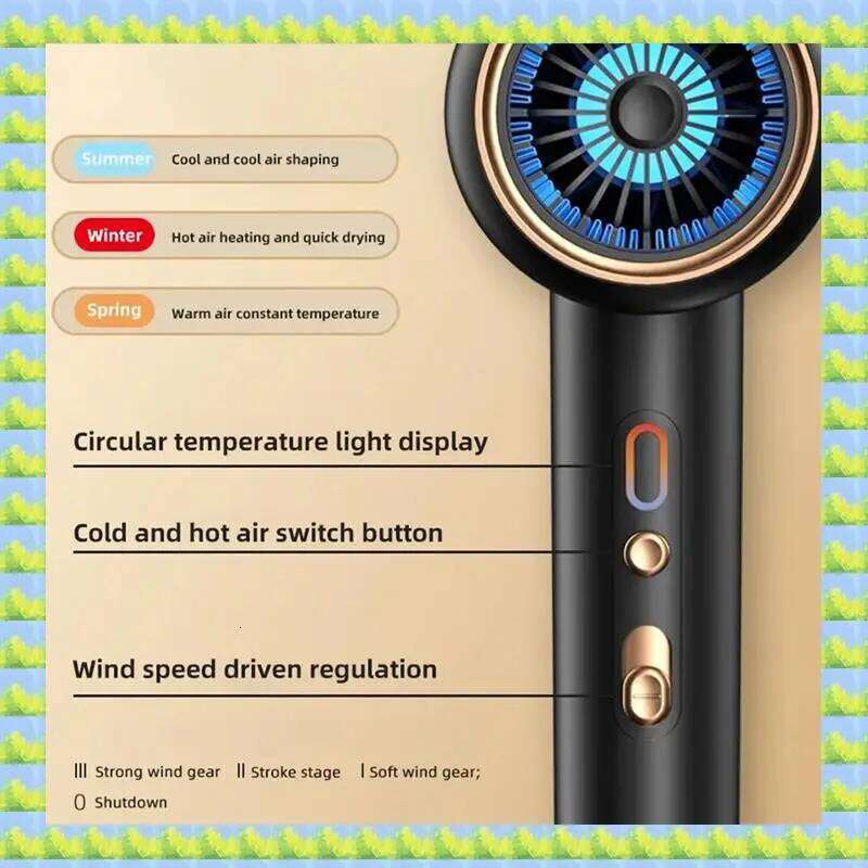 FZFZ 3Th Gear Professional Negative Ionic Blow Hot Cold Wind Air Brush Hair Dryer Salon Tool