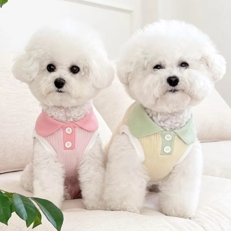Summer Pet Dog Polo Shirt Breathable Clothes Fashion Puppy Vest Cute Solid Cat Soft Costumes Chihuahua Clothes 250711