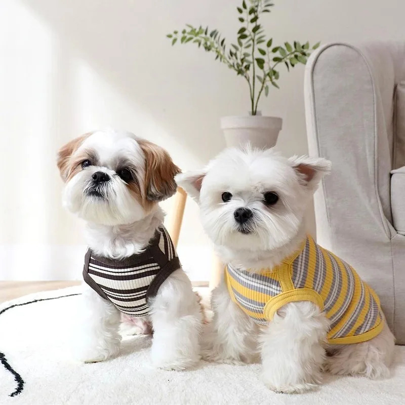 Cotton Rib Dog Shirt Sleeveless Stripe Vest for Small Dogs Teacup Chihuahua Yorkie Puppy Clothes Knitted Breathable Tank Tee 250711