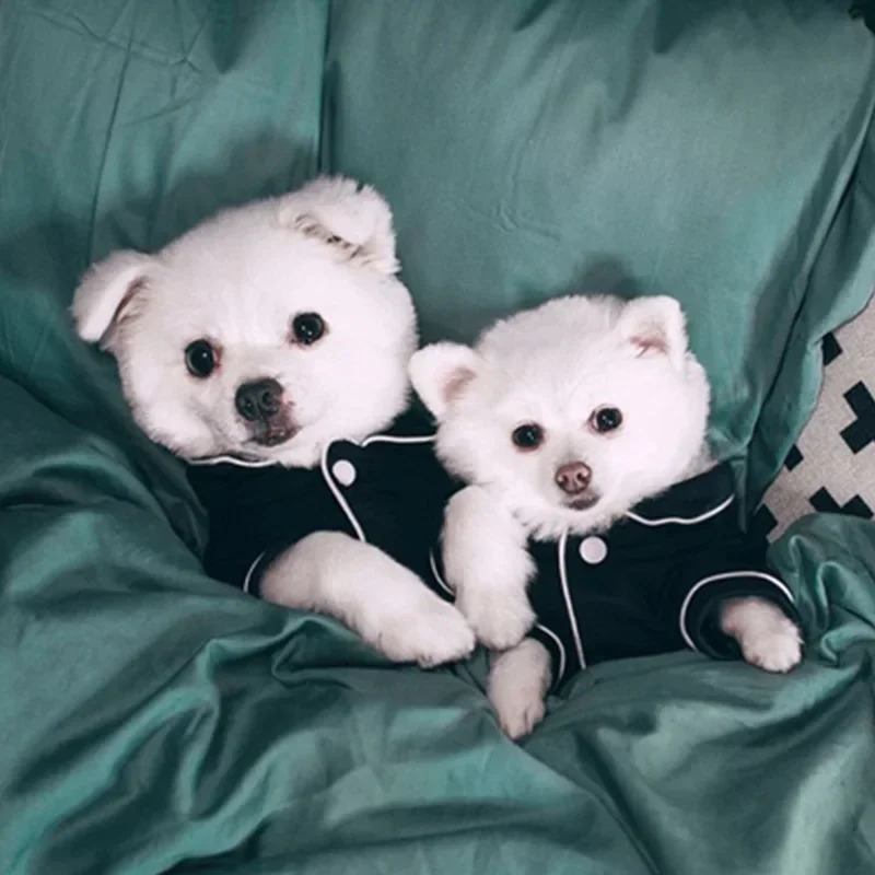 Dog Pajamas Summer Clothes for Small Dogs Chihuahua Pet Shirt Clothing Coat Jacket Puppy Costume Yorkshire 250711
